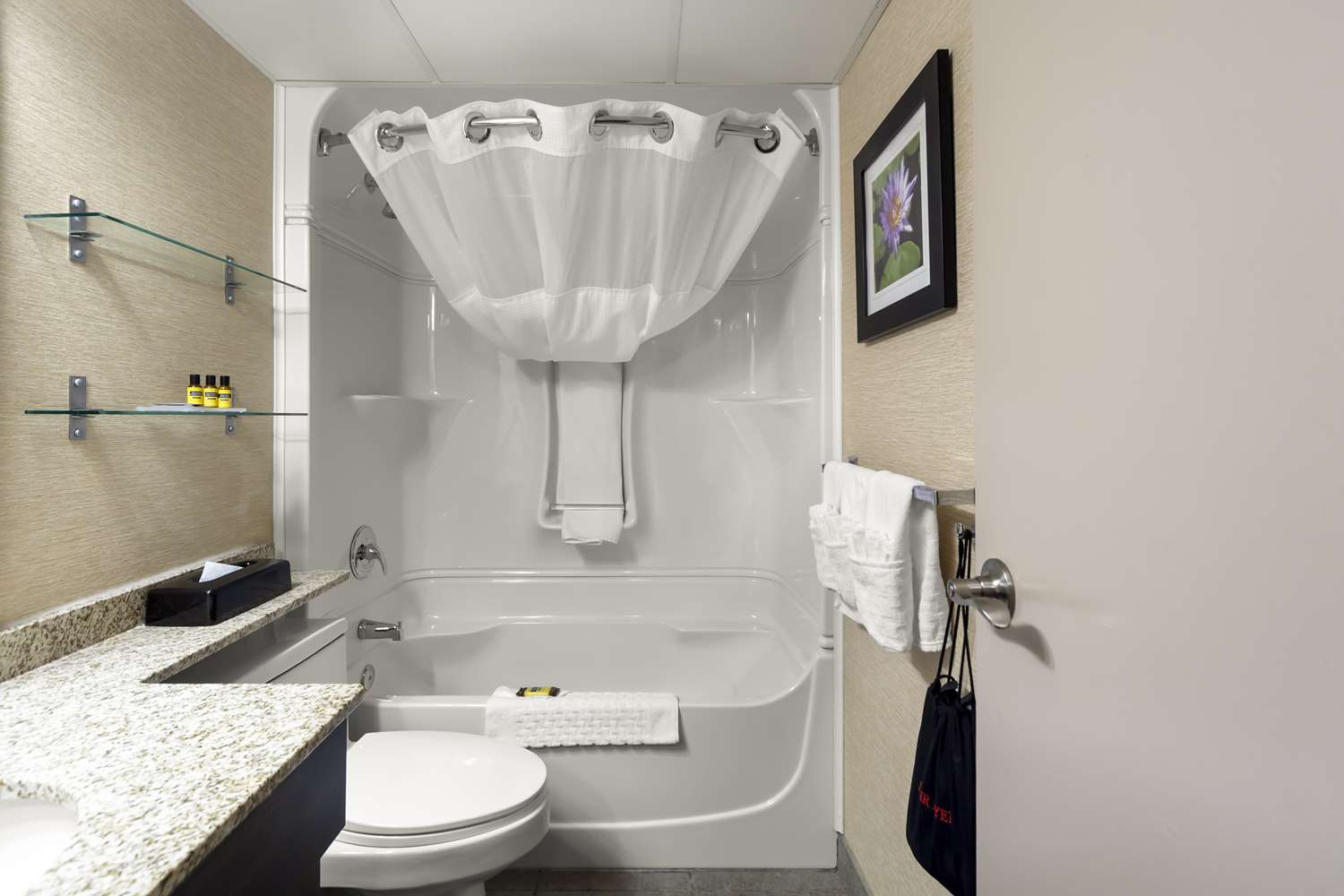 Best Western Plus City Centre Inn 52/52