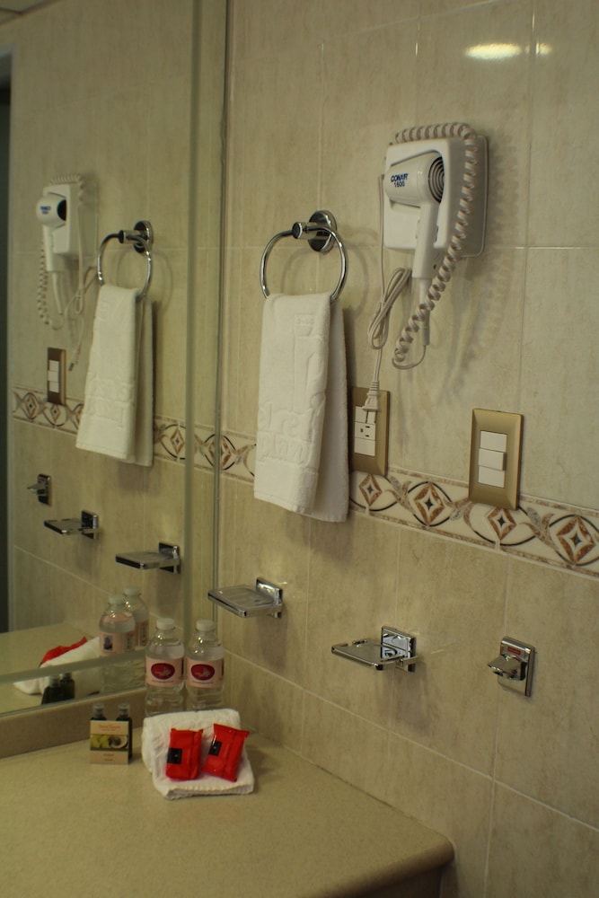 Hotel Real Plaza Aguascalientes 46/71