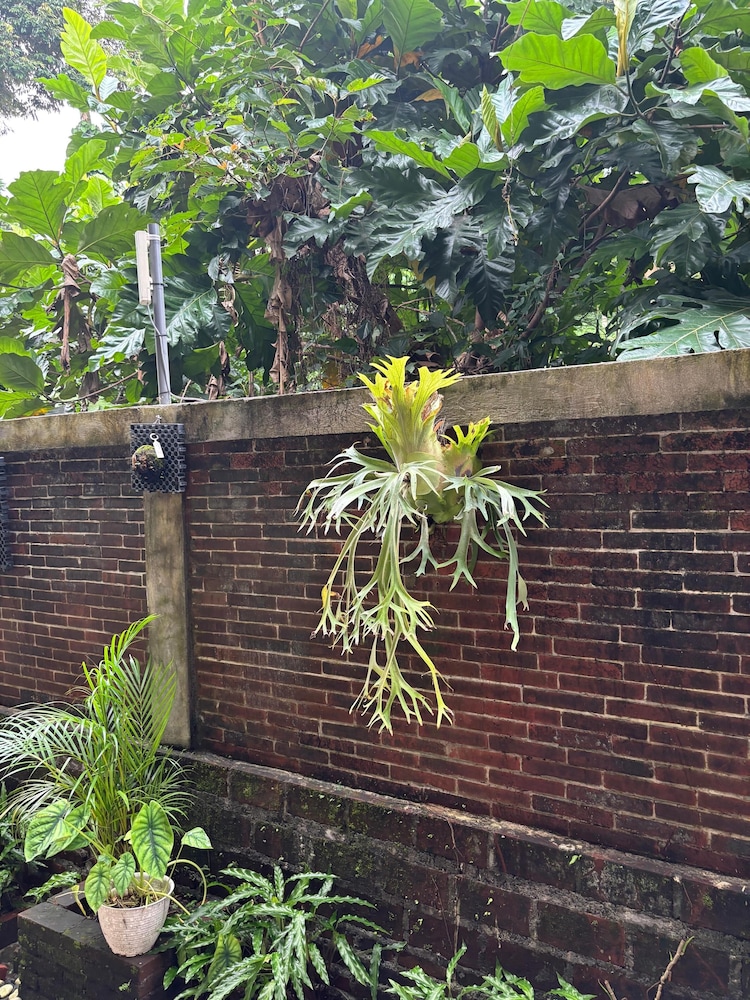 Adi Jaya Cottages 2/50