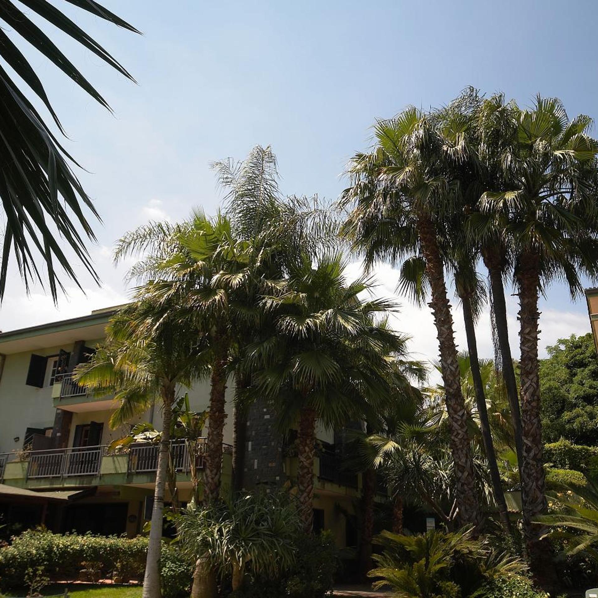 Hotel Borgo Verde 39/44