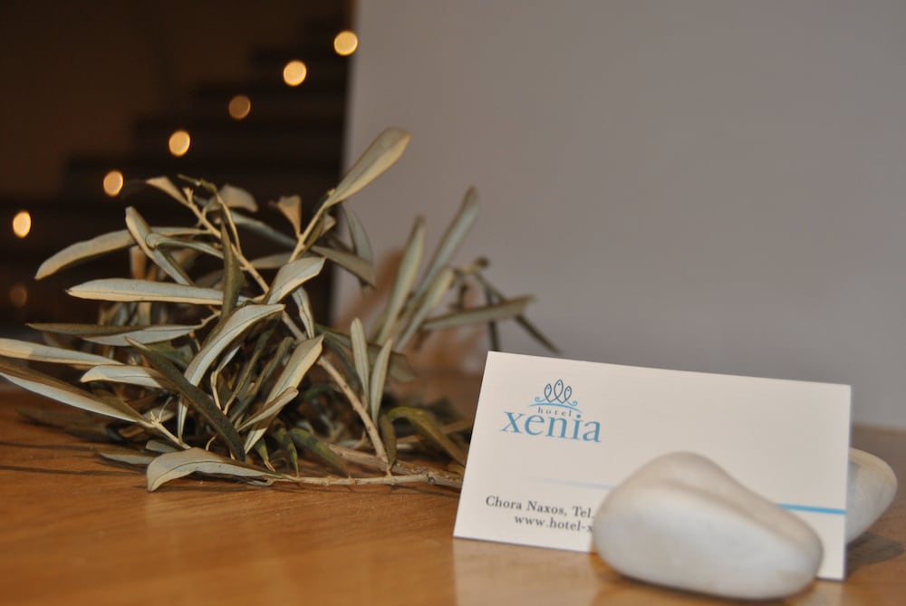 Xenia Hotel 32/50