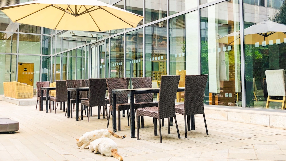 Holiday Inn Beijing Shijingshan Parkview 54/78