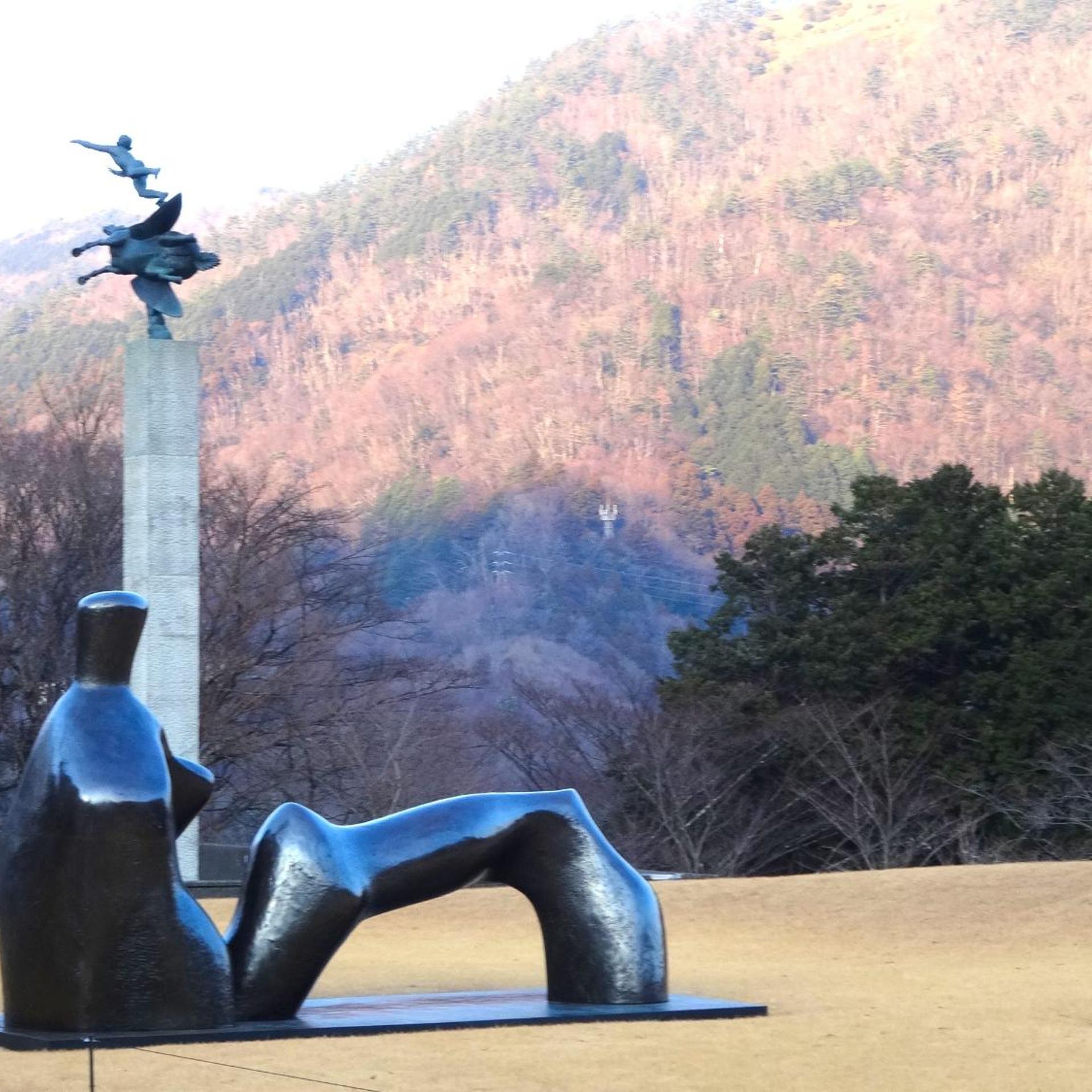 Hakone Ohiradai Onsen Sansuisou 44/48
