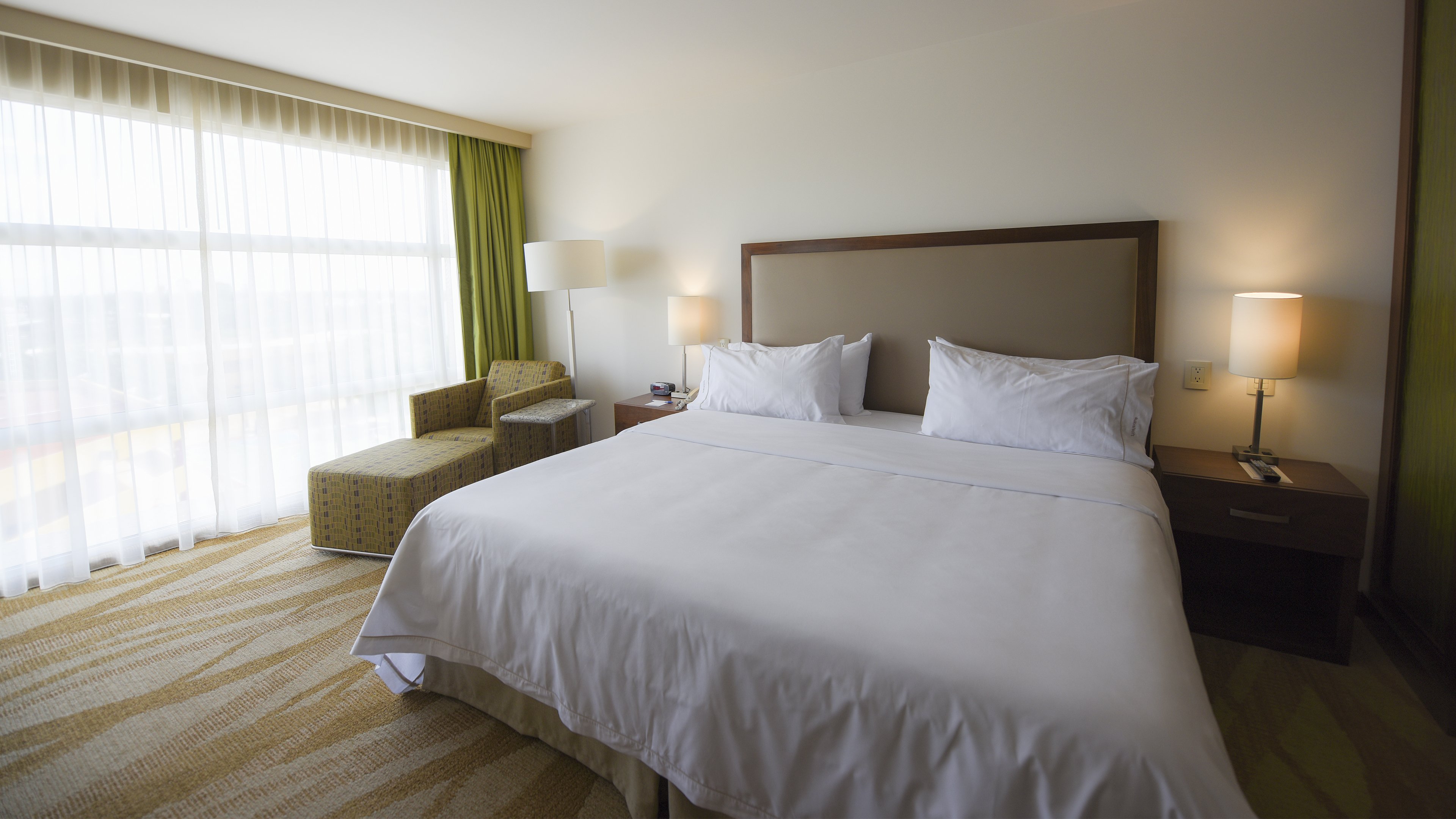 Suite, King Bed