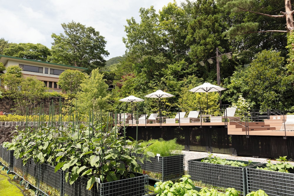 nol hakone myojindai 52/58