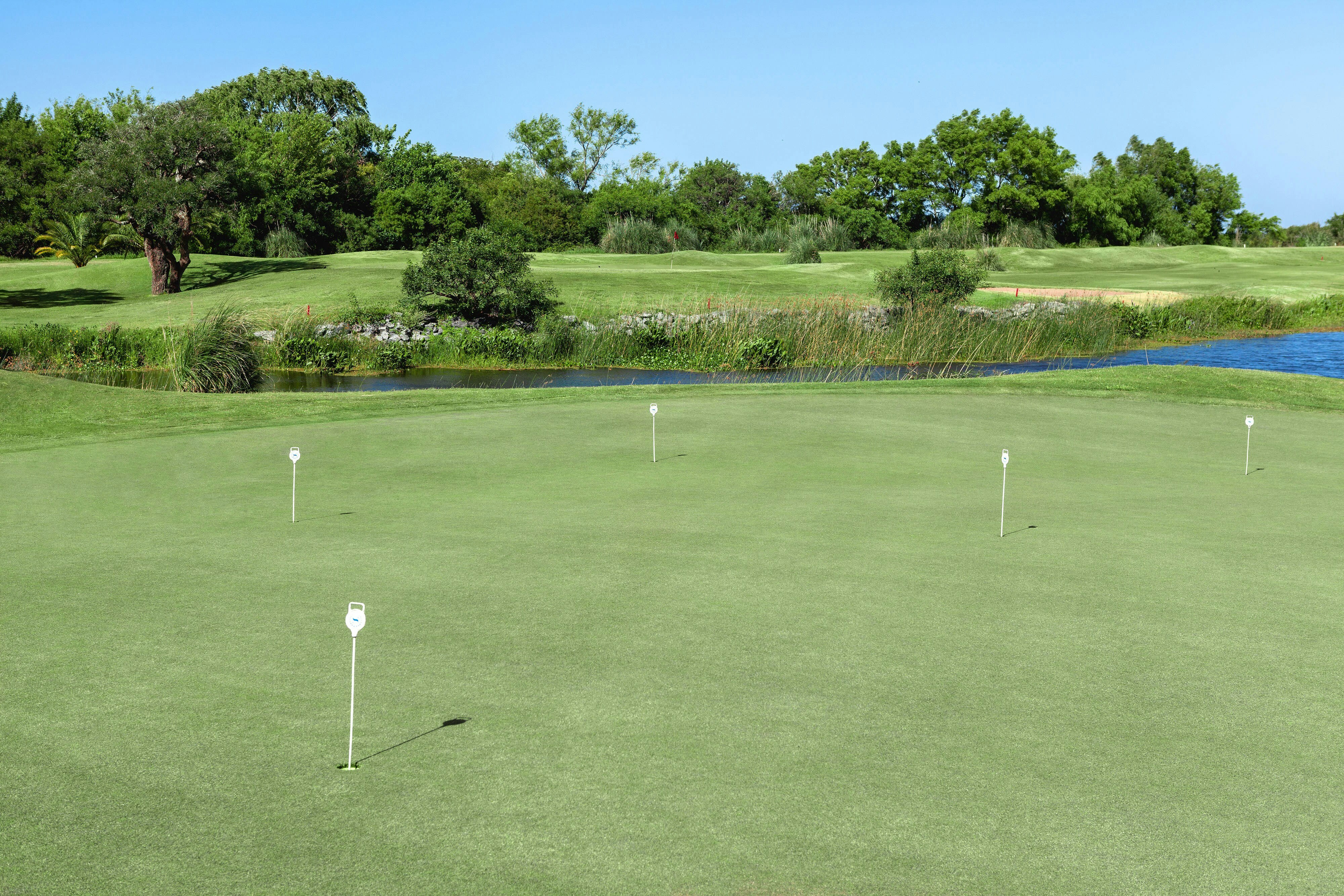Sheraton Colonia Golf and Spa Resort 12/38