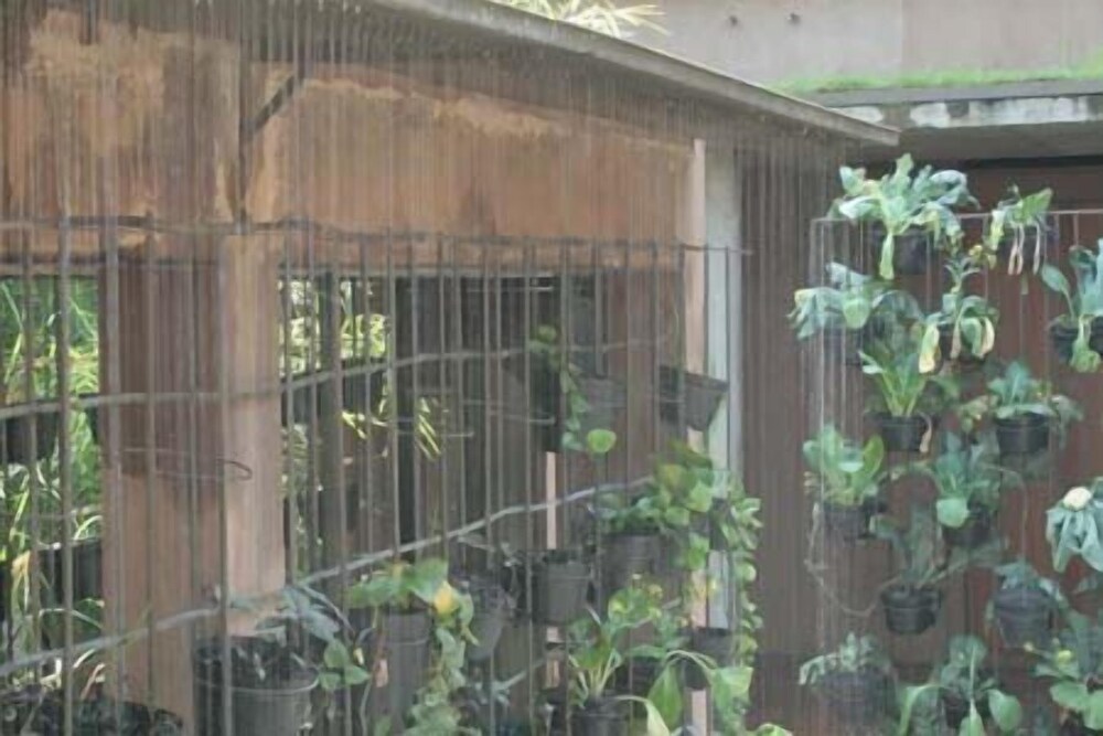 Rumah Turi 4/50