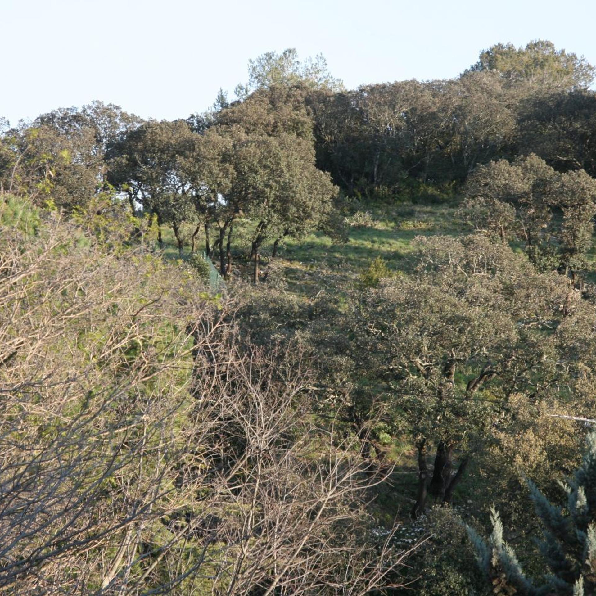 Bois Des Espeisses Hotel 25/32