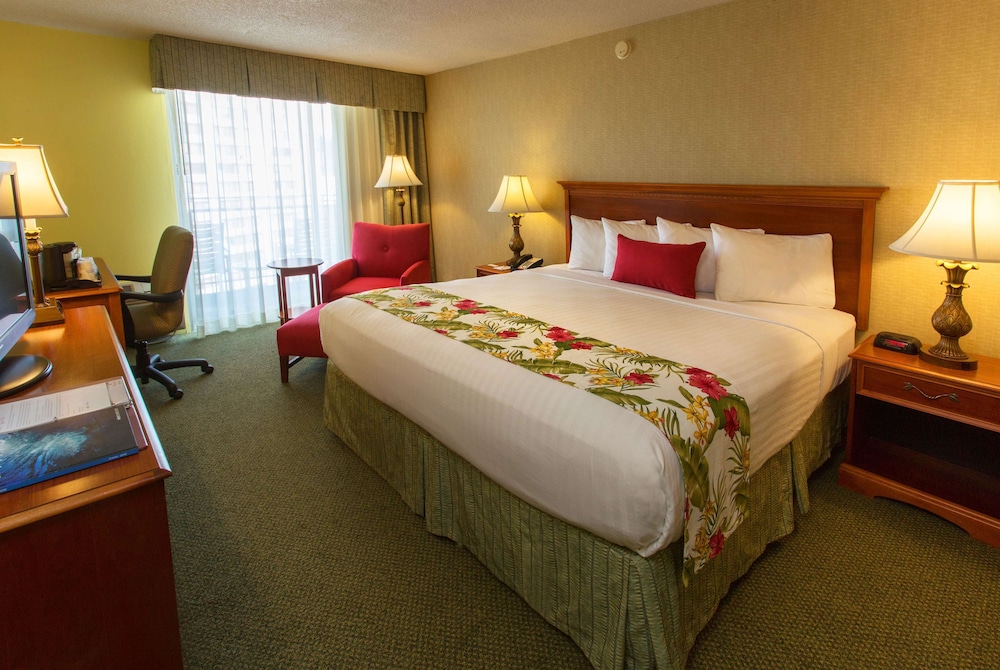 ROOM, KING BED