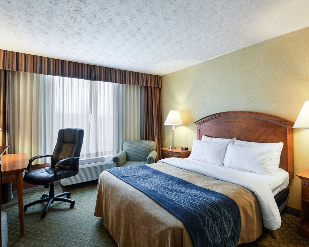 Comfort Inn Grantsville 14/41