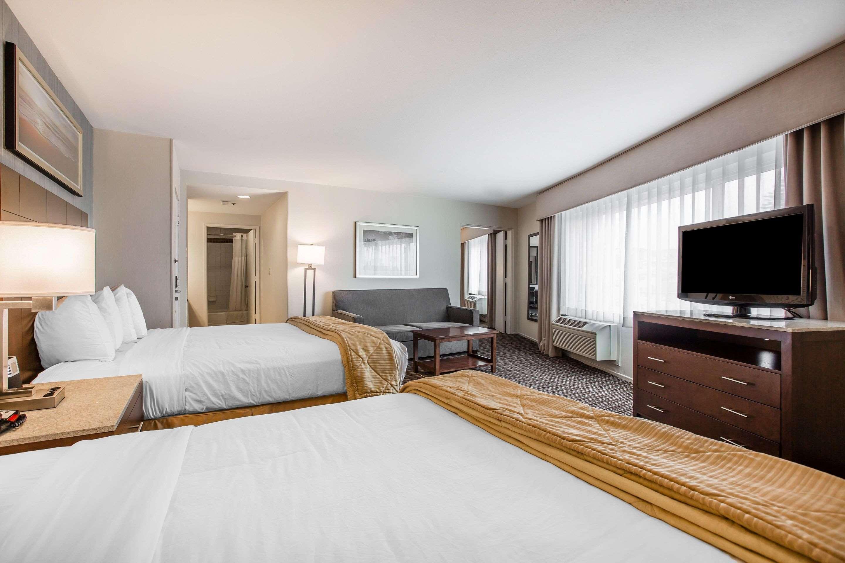Suite, 1 King and 2 Queen Beds