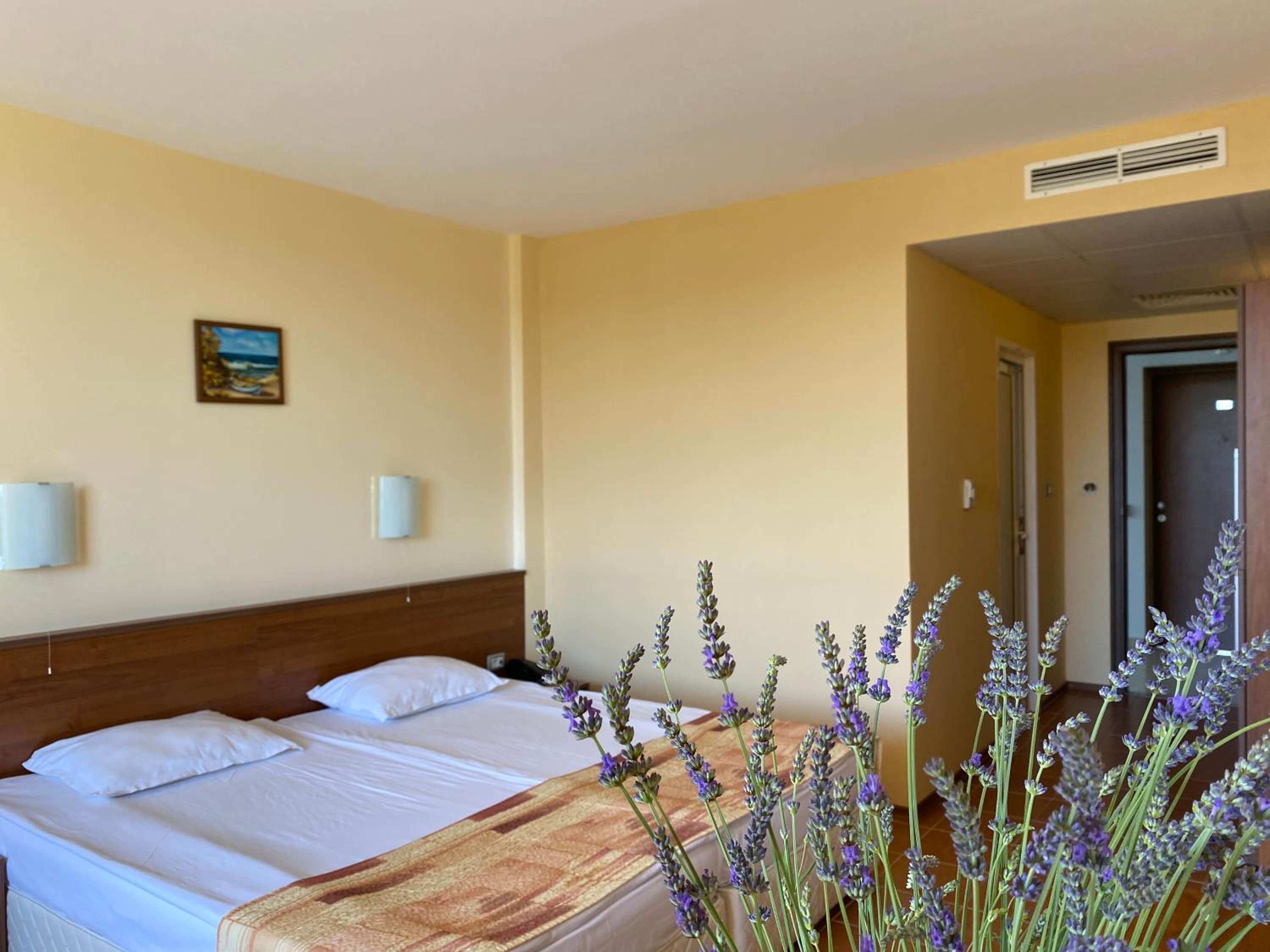 Room, Double Bed