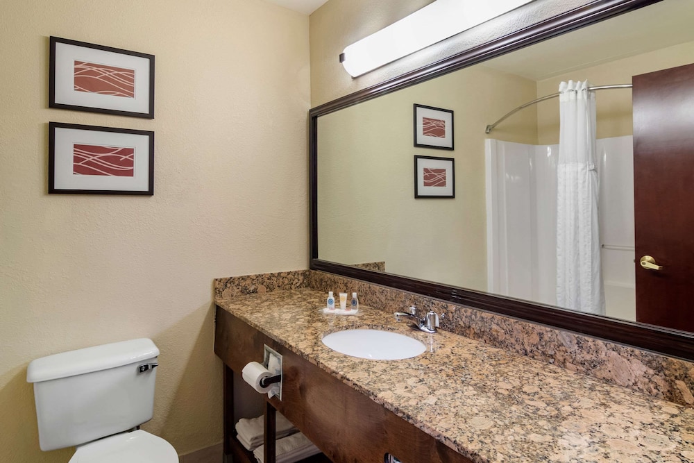 Comfort Inn Suites Suwanee Sugarloaf 12/36