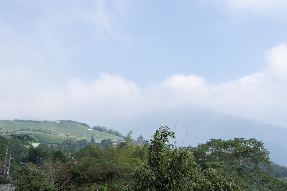 Alishan Tea Homestay 43/50