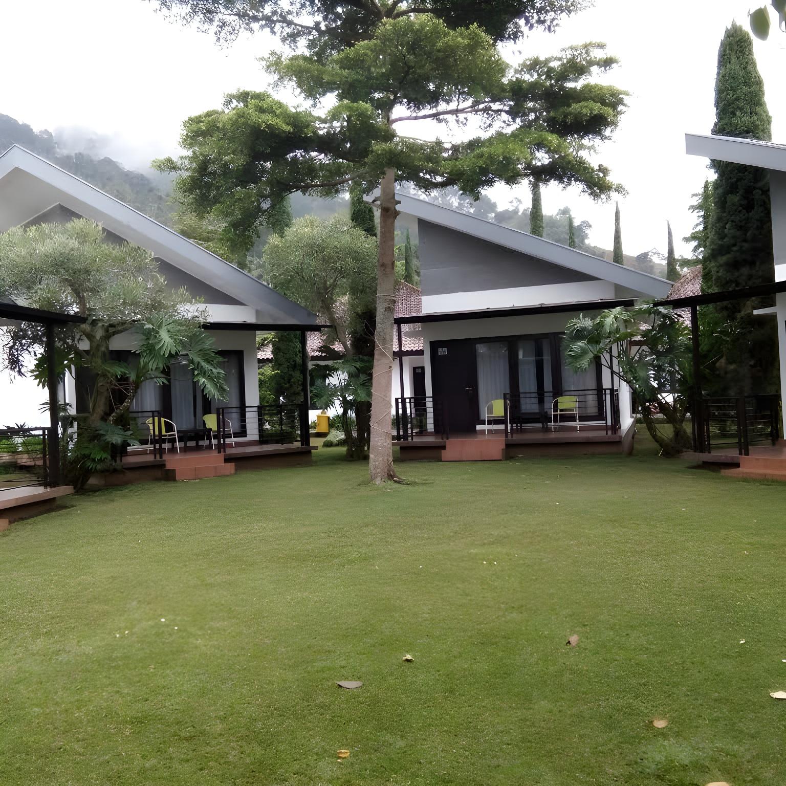 New Mountain Springs Hotel & Resort 15/17