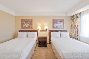 Suite, Multiple Beds, Accessible