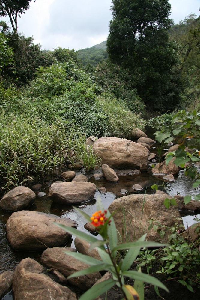 Elephant Valley Eco Farm Hotel 44/54