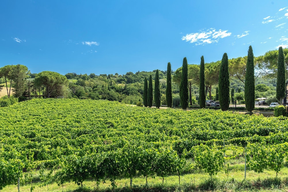 Tenuta Sovestro 38/50