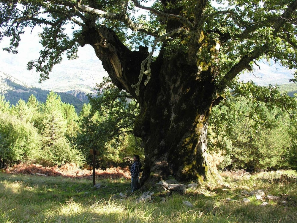 Paradiso Delle Madonie 43/56