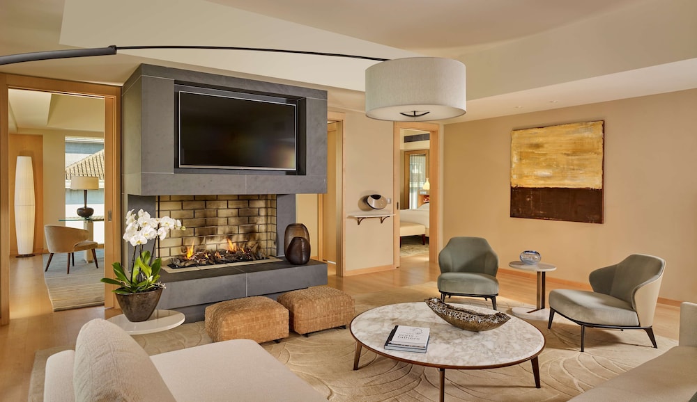 PARK HYATT ZURICH 45/80