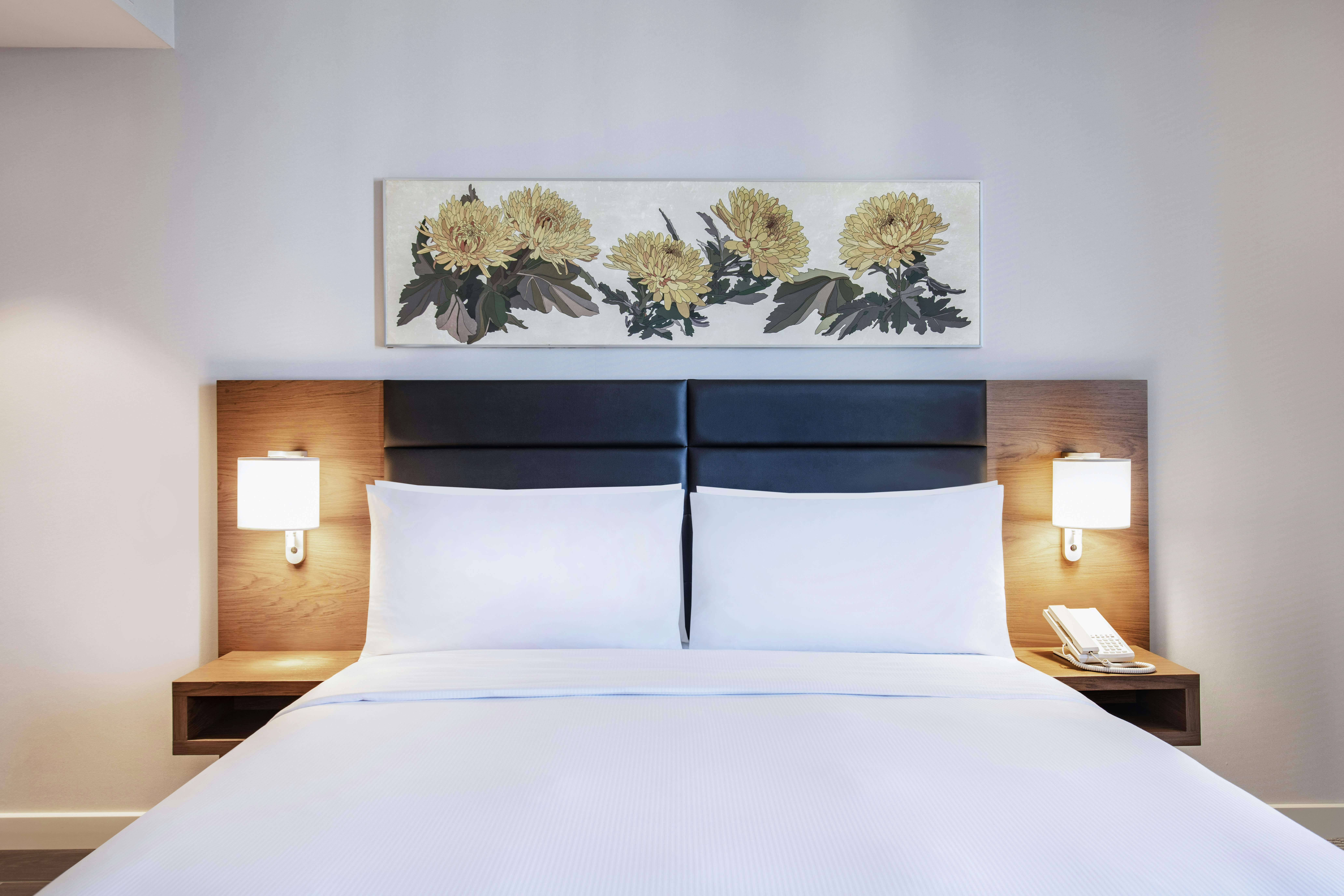 جناح جونيور بسرير كينج، Hilton Garden Inn Tbilisi Chavchavadze 2/5