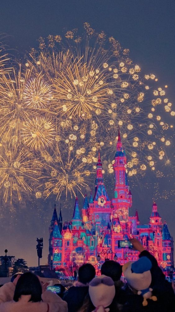 Shanghai Vintage Hotel Disneyland Branch 41/50