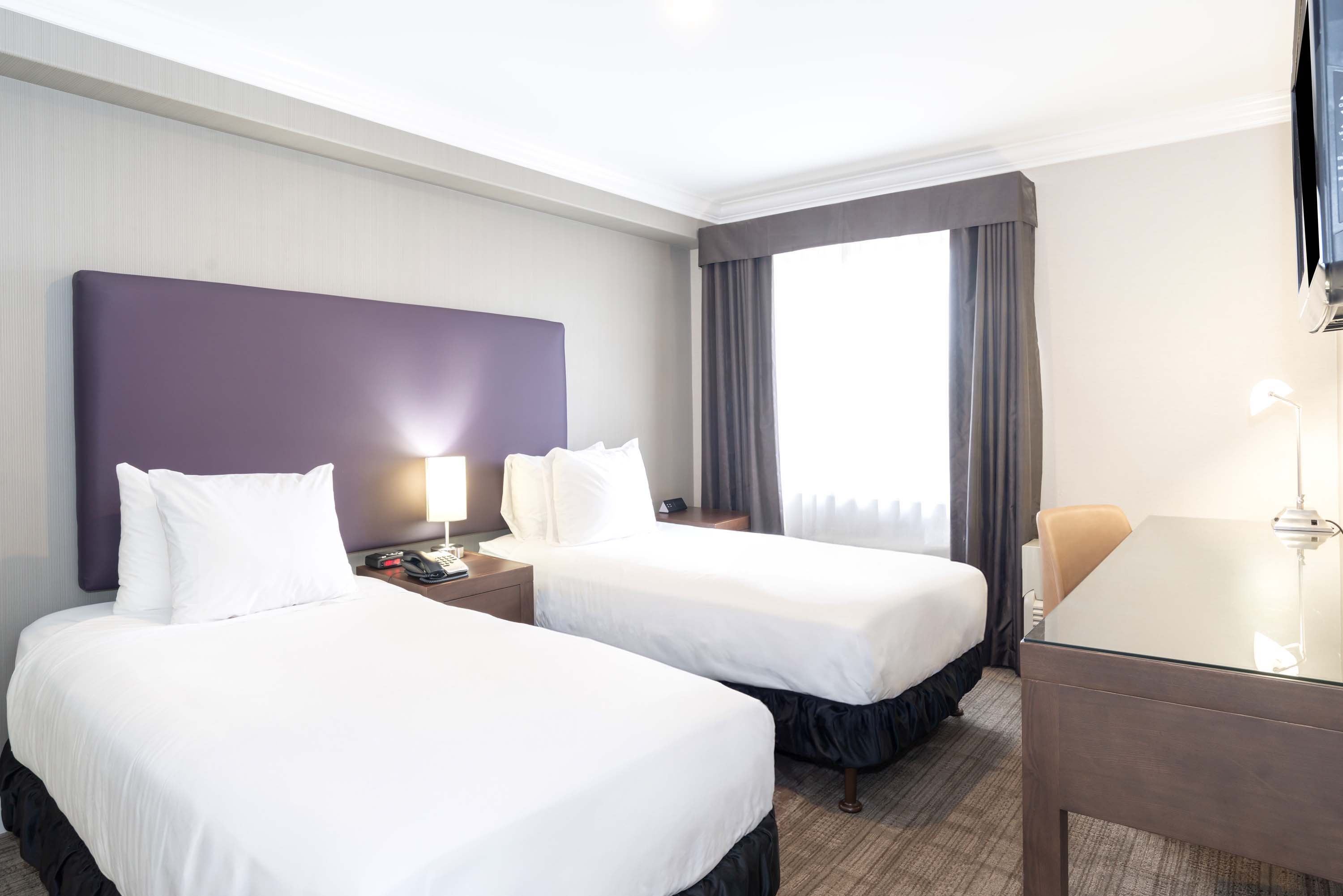 Split, Suite, King Bed, Sofa, Kitchenette