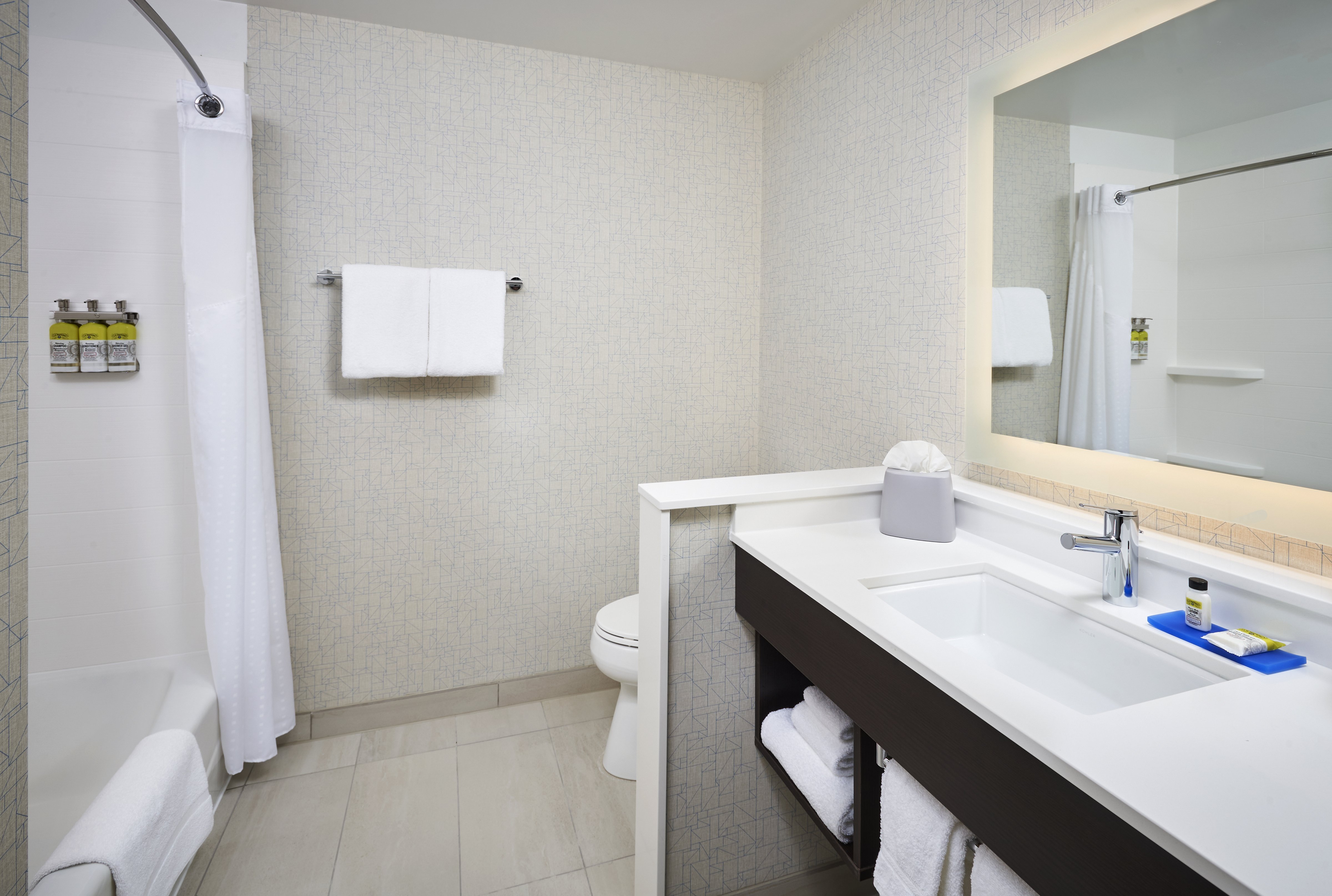 Holiday Inn Express & Suites Windsor East – Lakeshore, an IHG Hotel 67/70