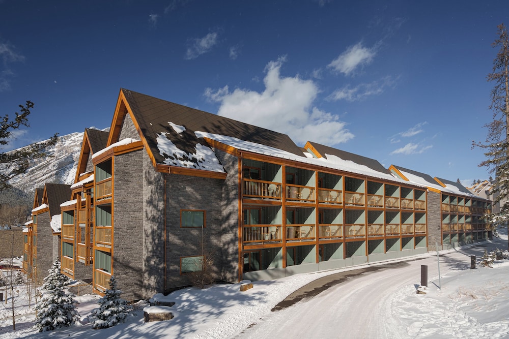 Otter Hotel 2/49