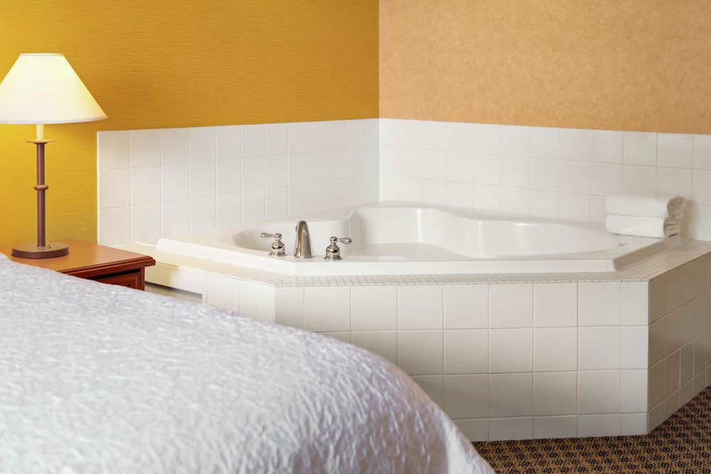 Hampton Inn and Suites by Hilton Langley Surrey 18/72