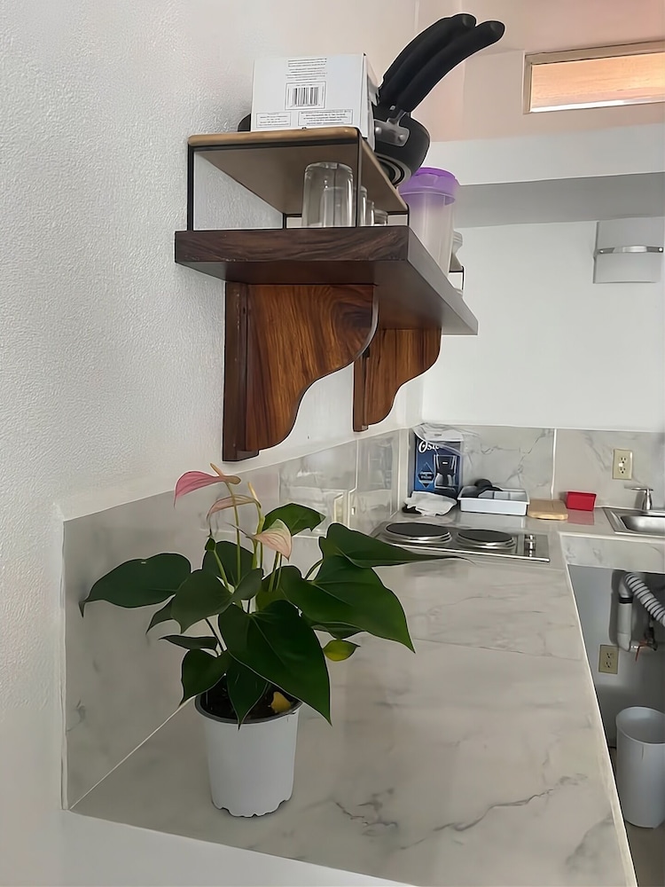 Vallarta Sol 10/50