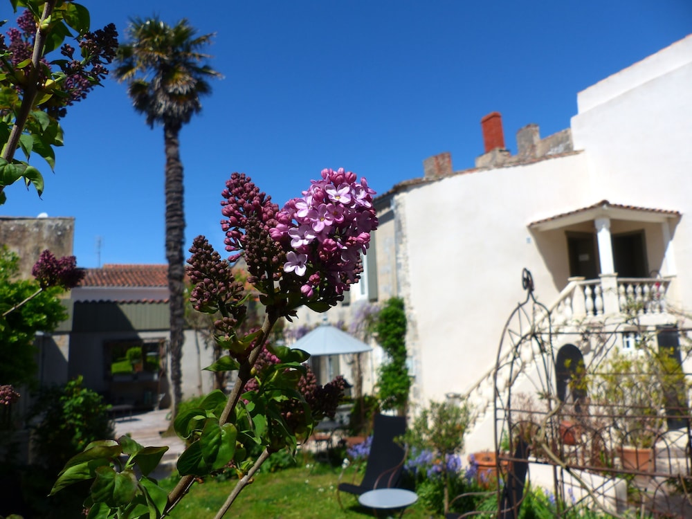 La Maison Douce 4/77