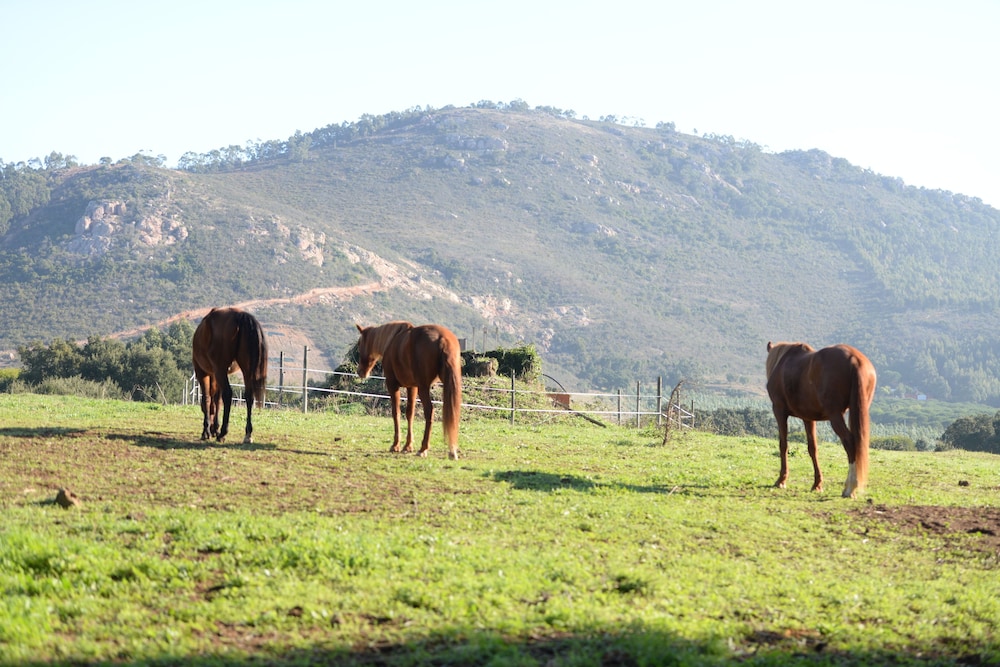 Quinta da Samoqueirinha 24/33