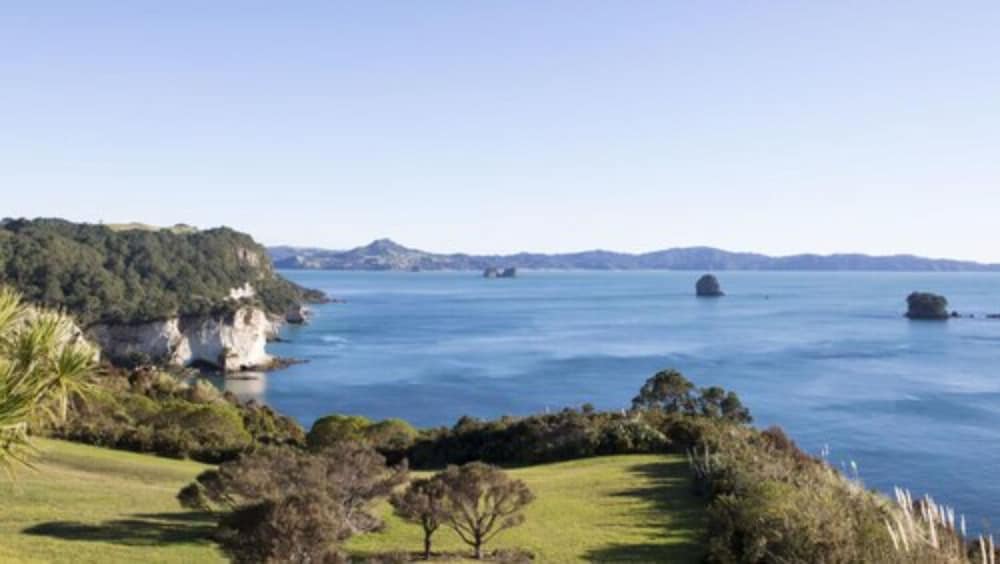 Tasman Holiday Parks - Hahei 55/71