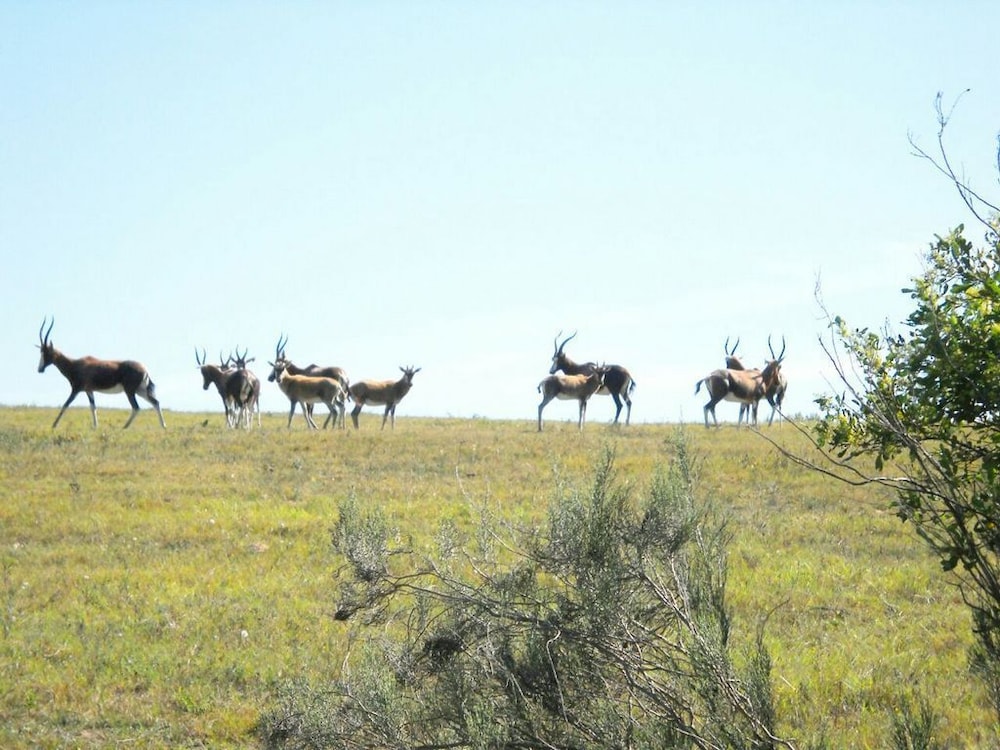 Pabala Private Nature Reserve 28/41