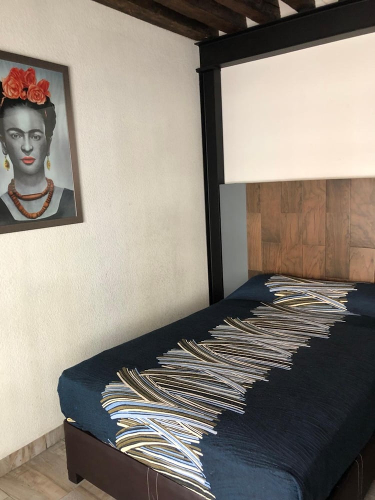 FRIDA UNICO 25/50