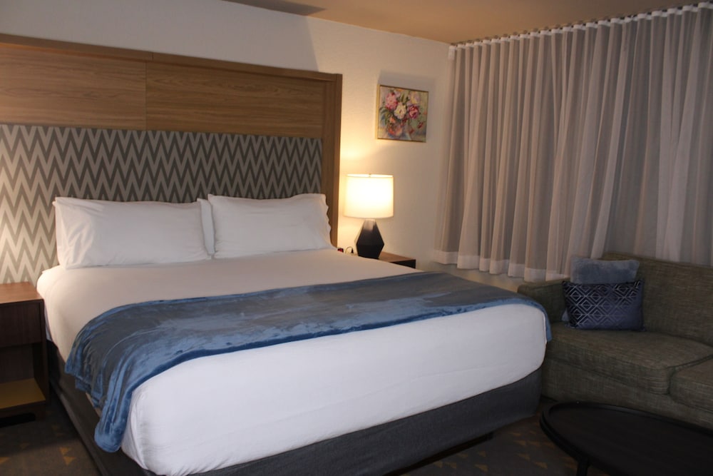 Studio, Suite, King Bed, Sofa