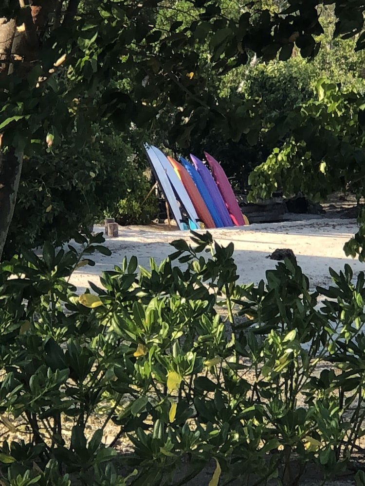 The Moso 28/50