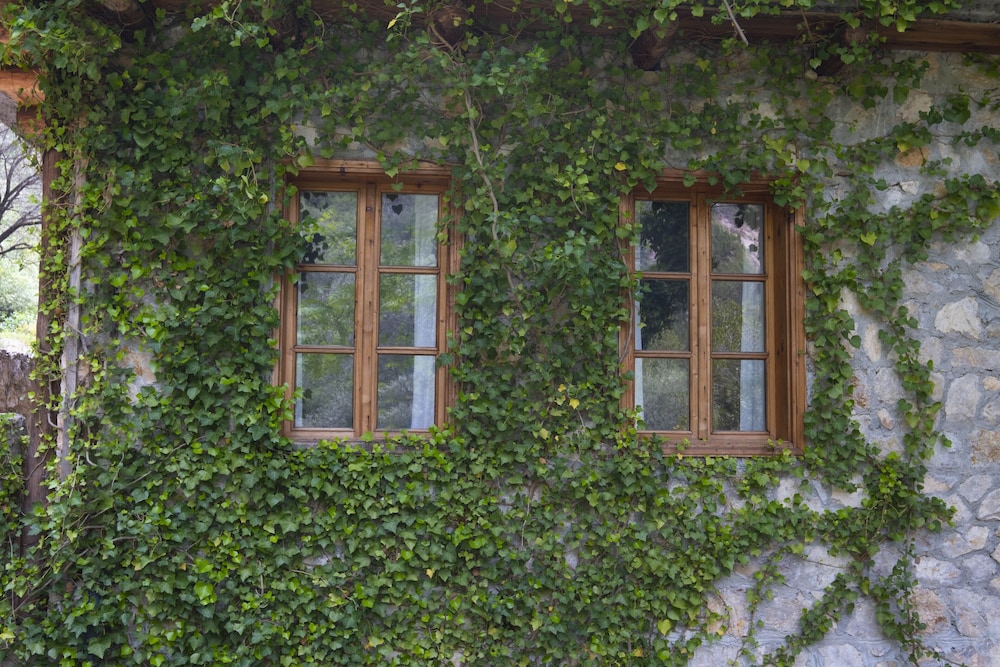 Watermill Villa & Hotel Faralya 3/50