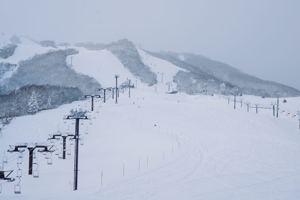 MUWA NISEKO 42/47