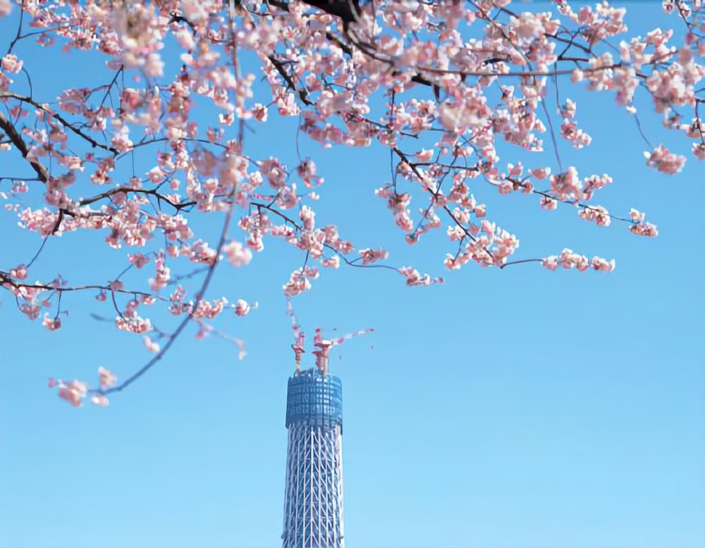KKR Hotel Tokyo 59/66