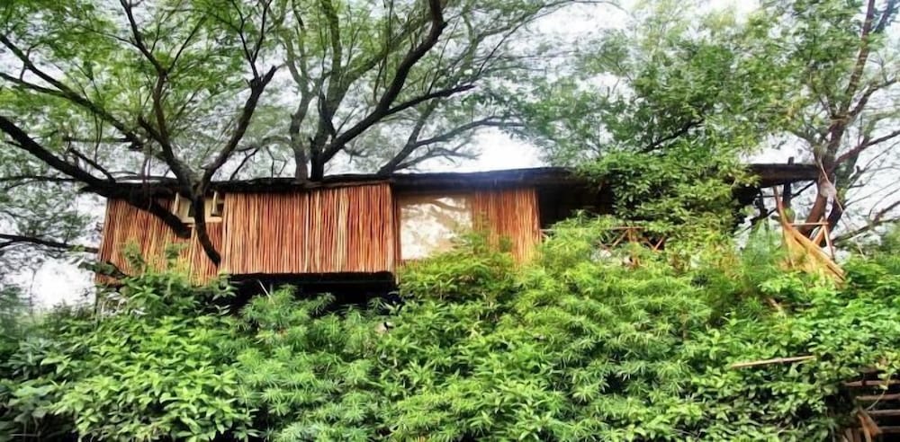 The Tree House Resort 34/35