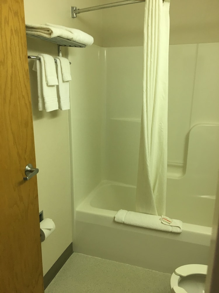 Microtel Inn Suites By Wyndham Champaign 17/68