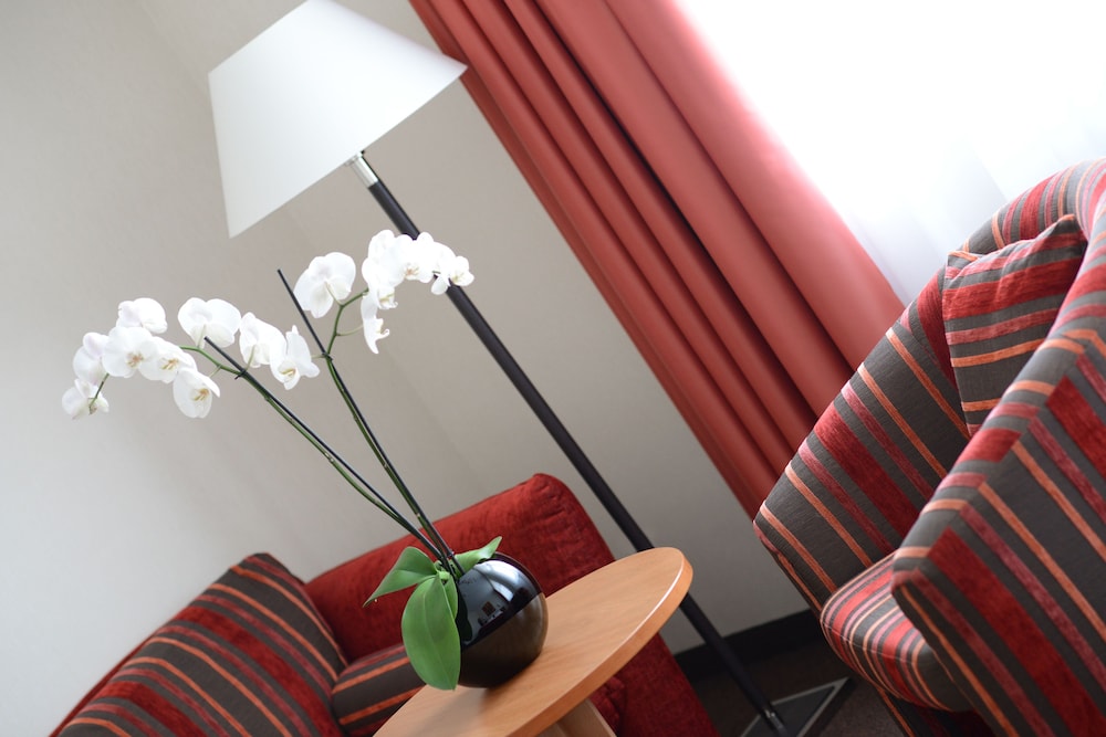 Hotel Adelante 8/59