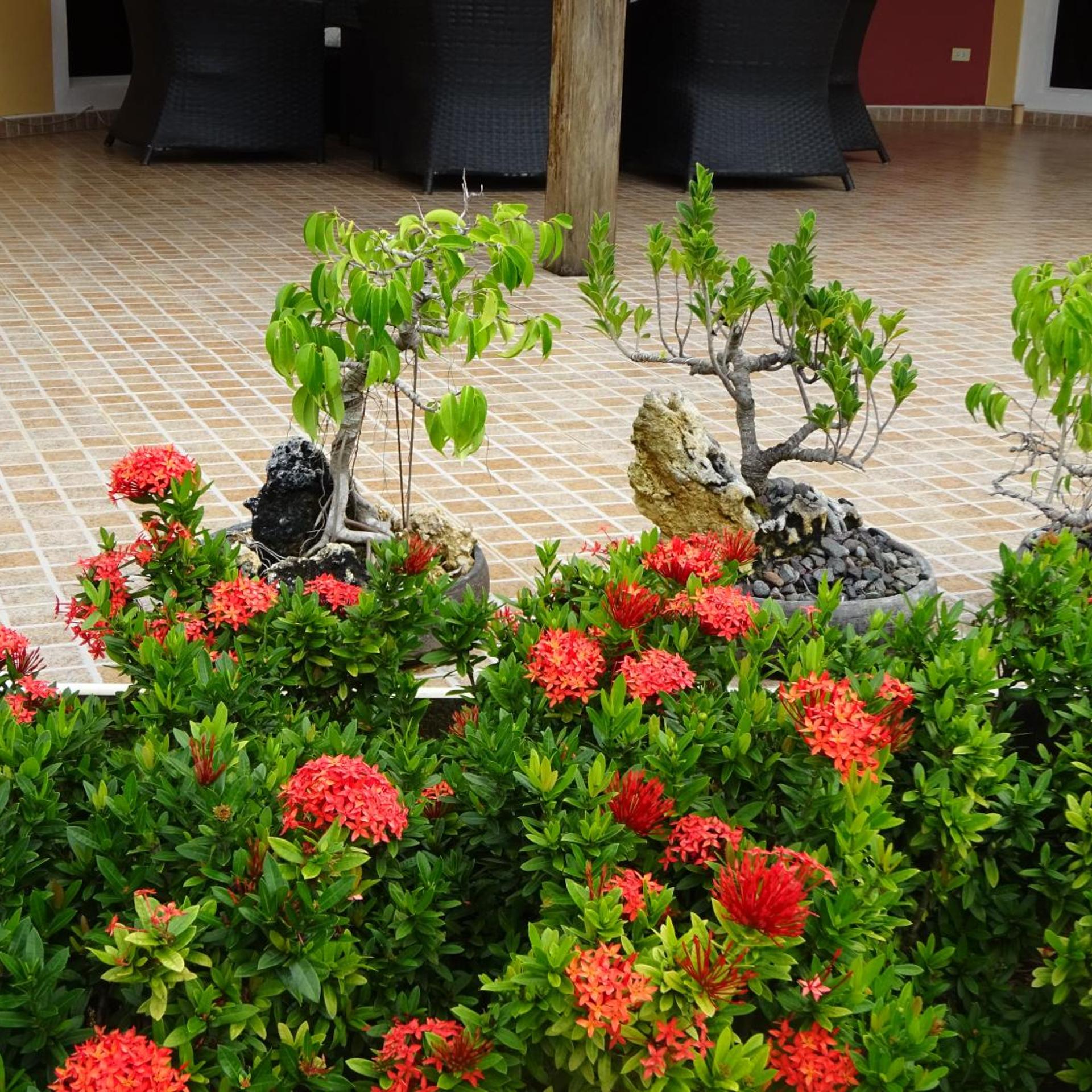 Bohol Sunside Resort 35/50