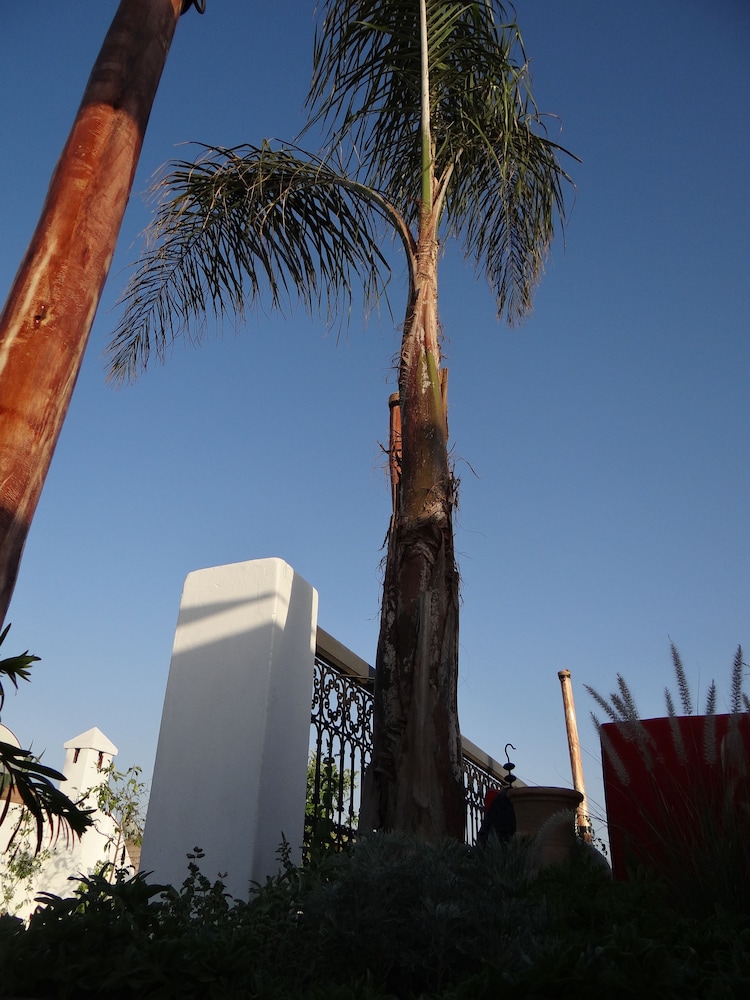 Riad le Jardin Des Sens & Spa 44/50