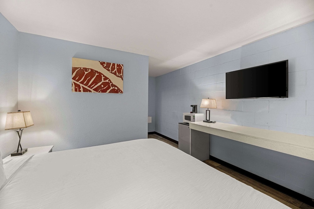 Room, King Bed, Accessible