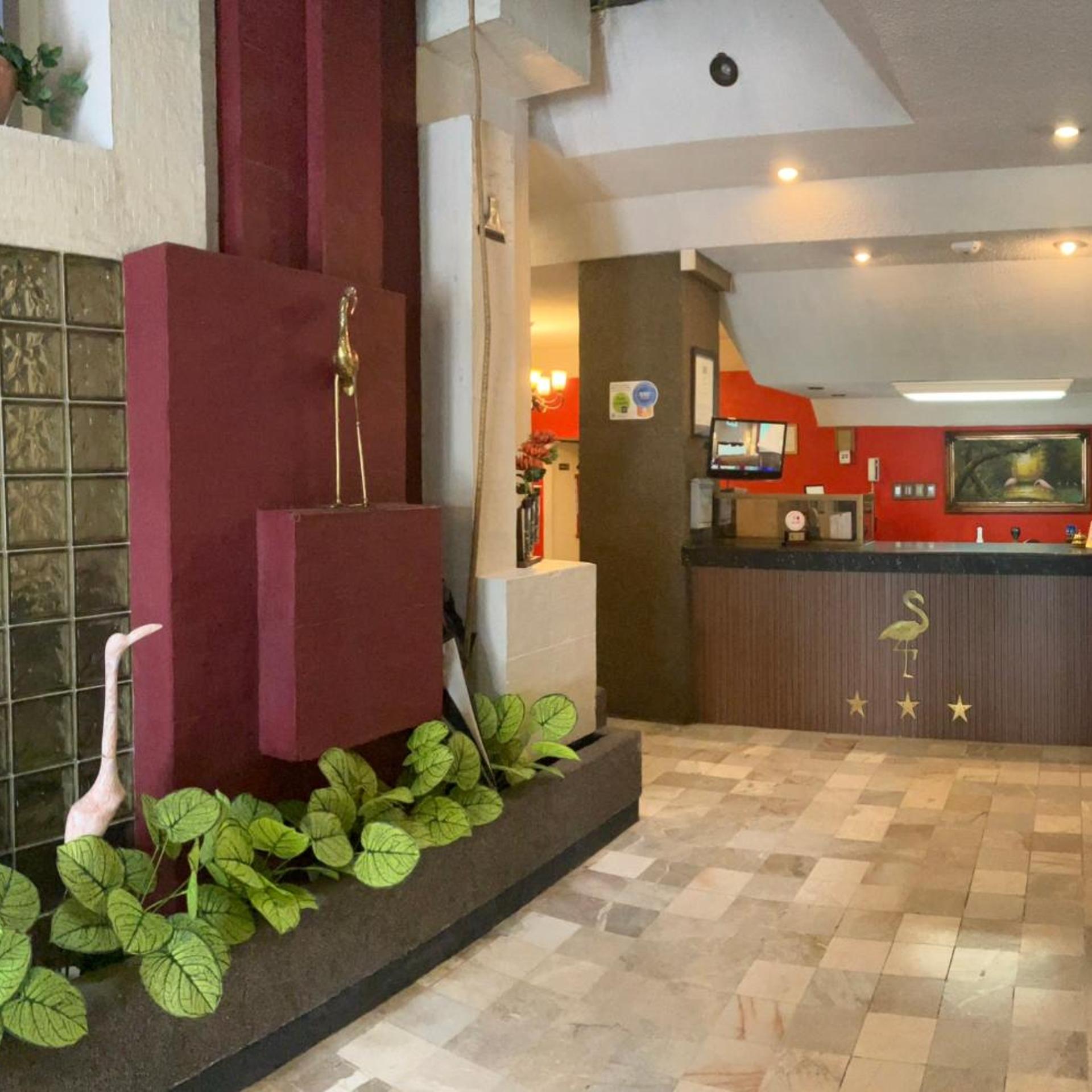 Hotel Flamingo Kristal 8/50