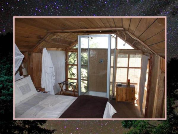 Tree House, Fantasy، Sycamore Avenue Treehouses 2/2