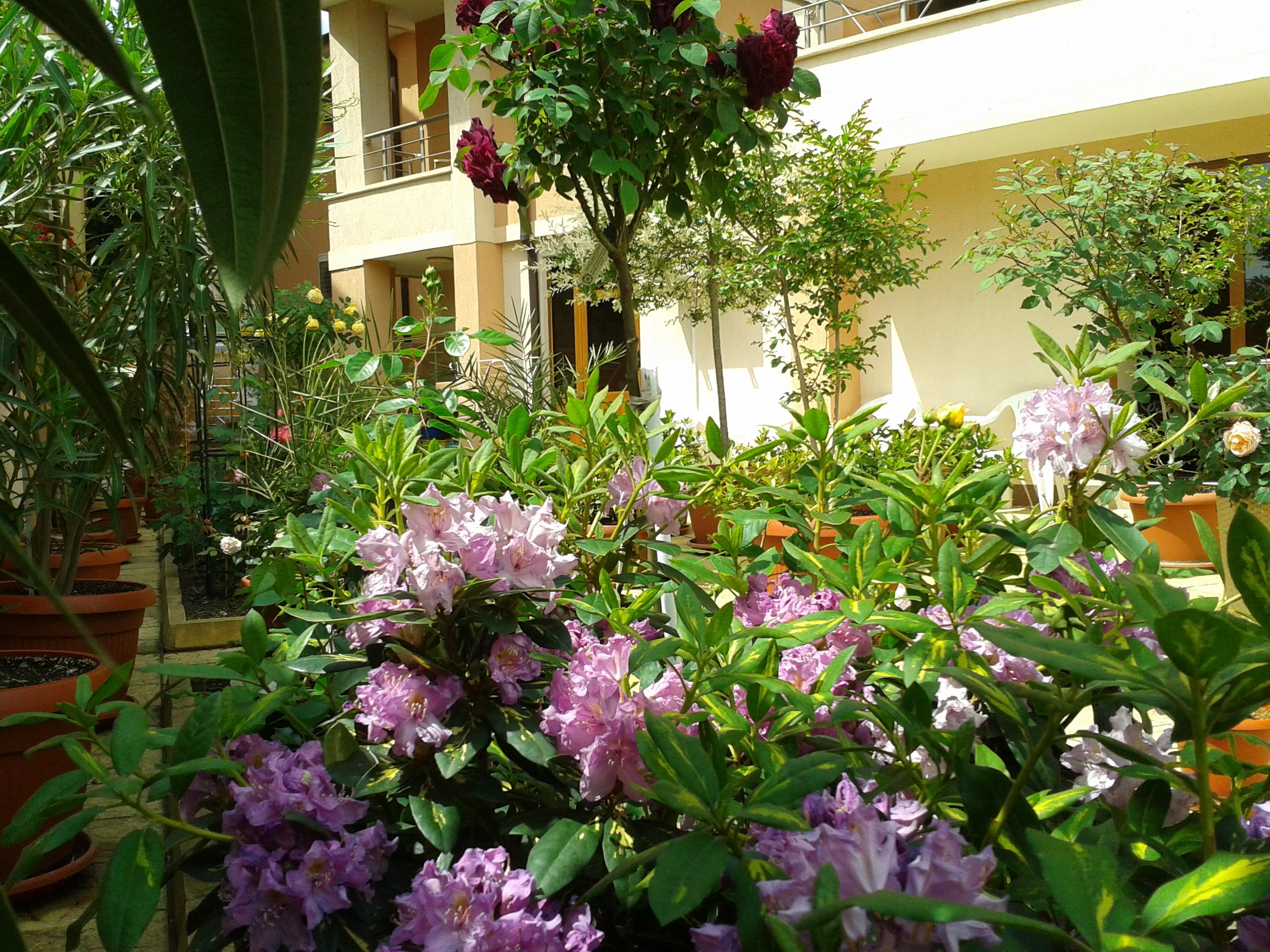 Hotel Chuchulev 41/50